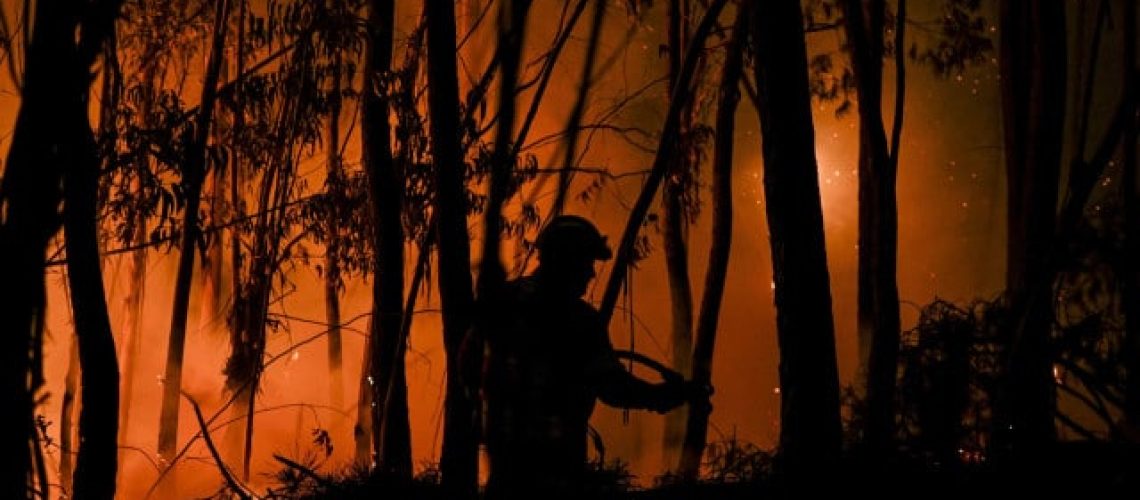 Le gouvernement satisfait du "plus petit nombre d'incendies depuis le début des enregistrements".