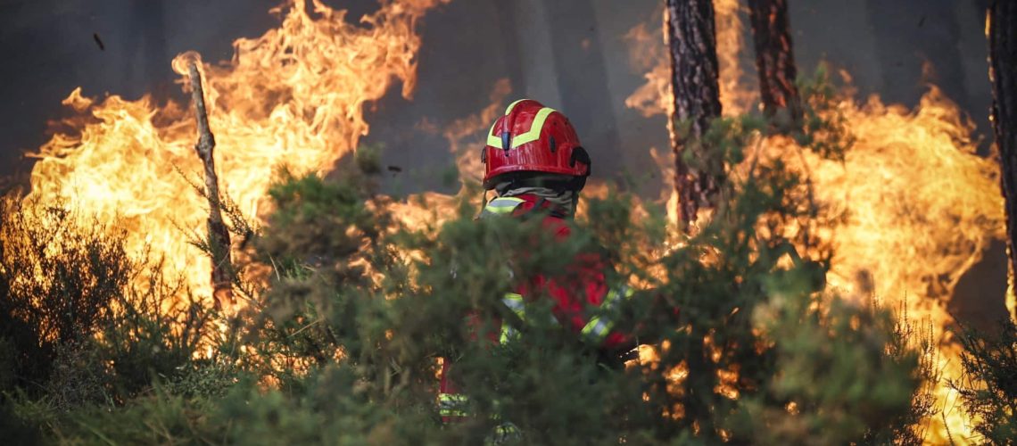 Le maire de Penamacor dit que le feu a gagné en intensité : "Cela s'est compliqué".