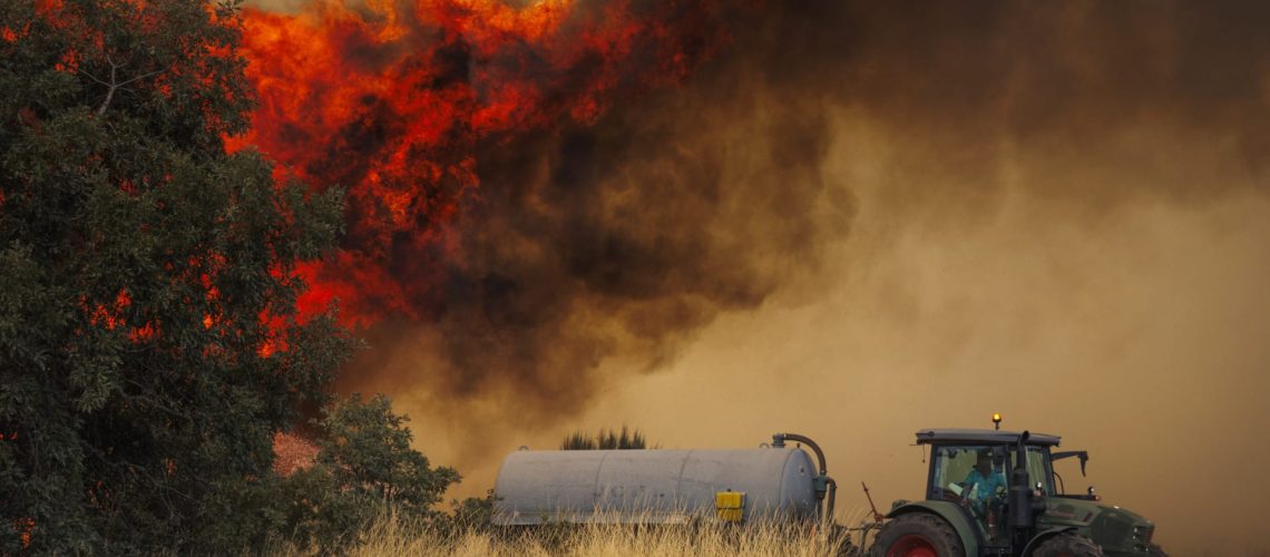 Le Portugal continental a enregistré 55 incendies ruraux jusqu'à 17h30 aujourd'hui.