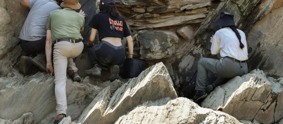 Les archéologues enquêtent sur la présence humaine dans la vallée du Côa.