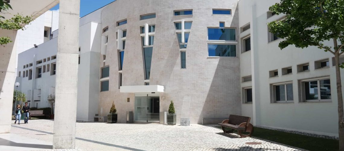 L'ISCTE va former 45 jeunes en Angola pour développer de petites entreprises.