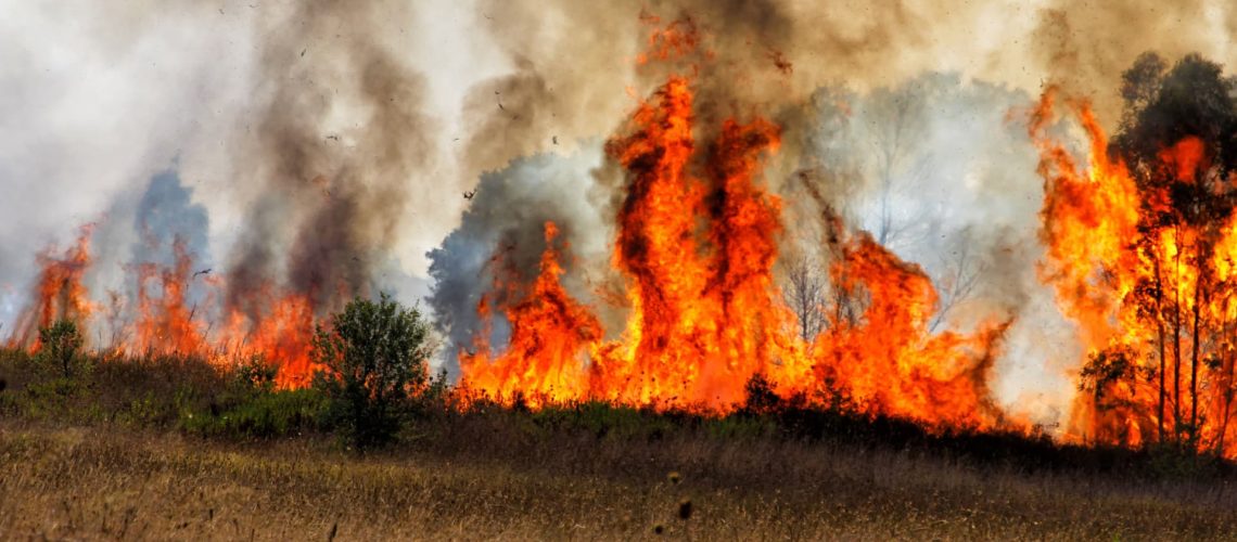 Maîtrisé un feu dans une zone de broussailles et de pâturages dans la commune d'Avis.