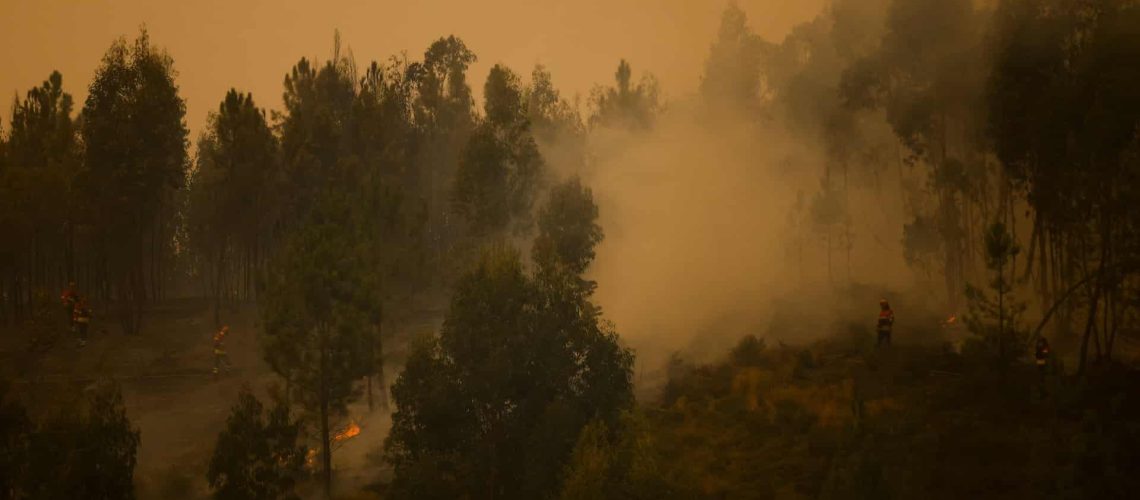 Moyens renforcés dans l'incendie à Vila Real. Il y a trois fronts actifs.