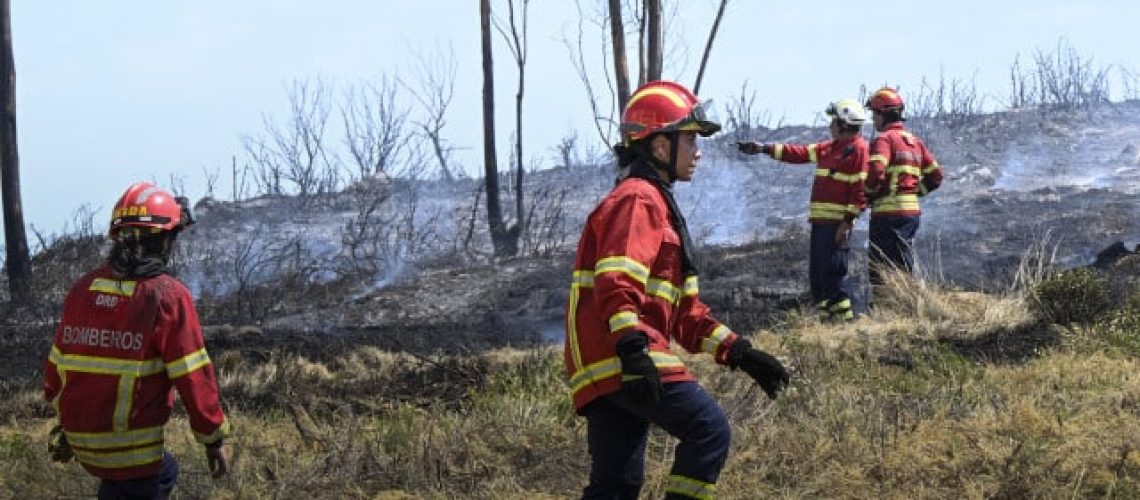 Plus de 1 600 combattent les incendies : Lesquels ne lâchent pas prise ? Et en cours de résolution ?