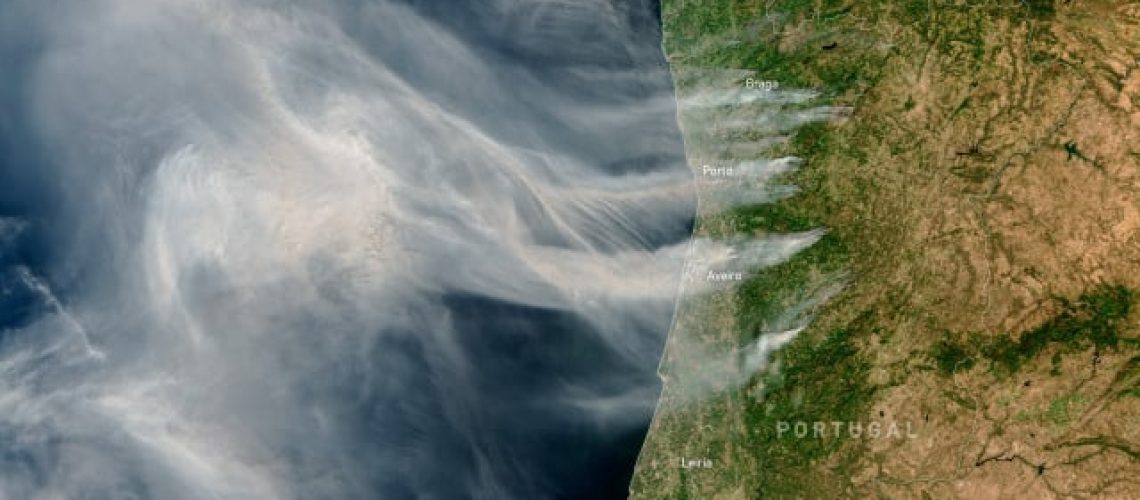 Plus de 1 700 opérateurs et 560 véhicules combattent les principaux incendies.