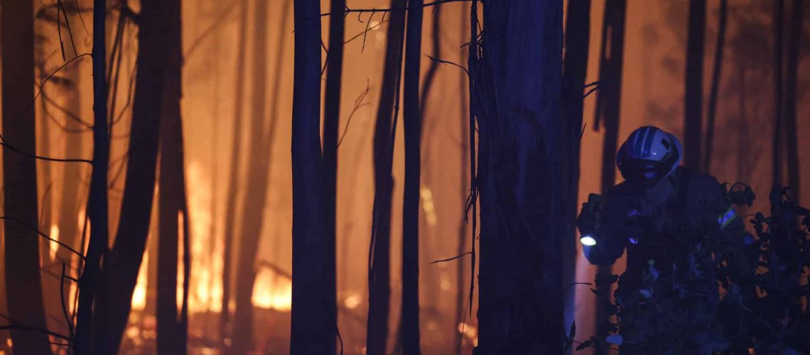 Plus de 180 opérateurs combattent un incendie de forêt à Trancoso.