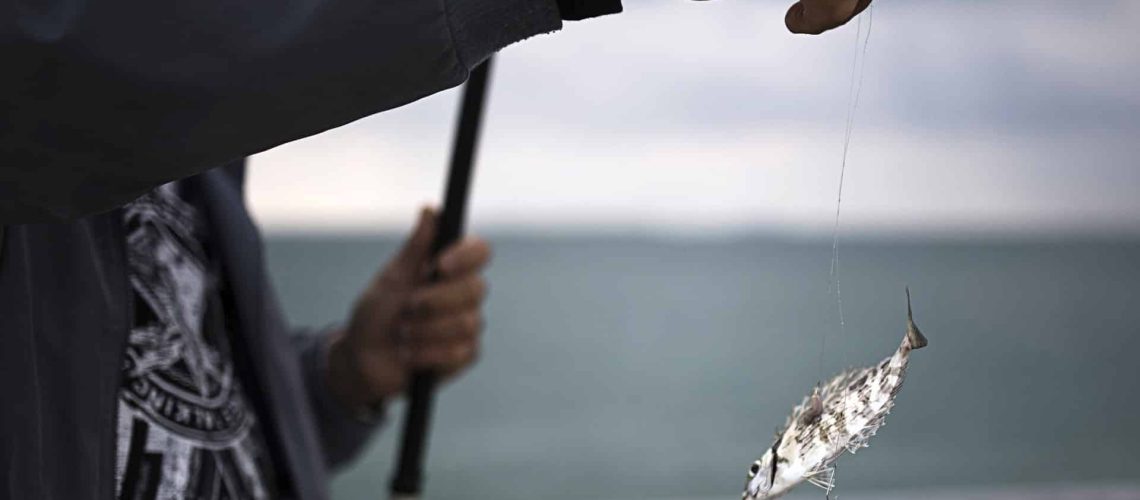 Plus de 300 kg de merlu sous-dimensionné sont saisis à Nazaré.