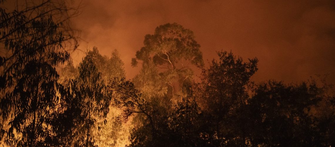 Plusieurs routes coupées à Sabrosa en raison de l'incendie