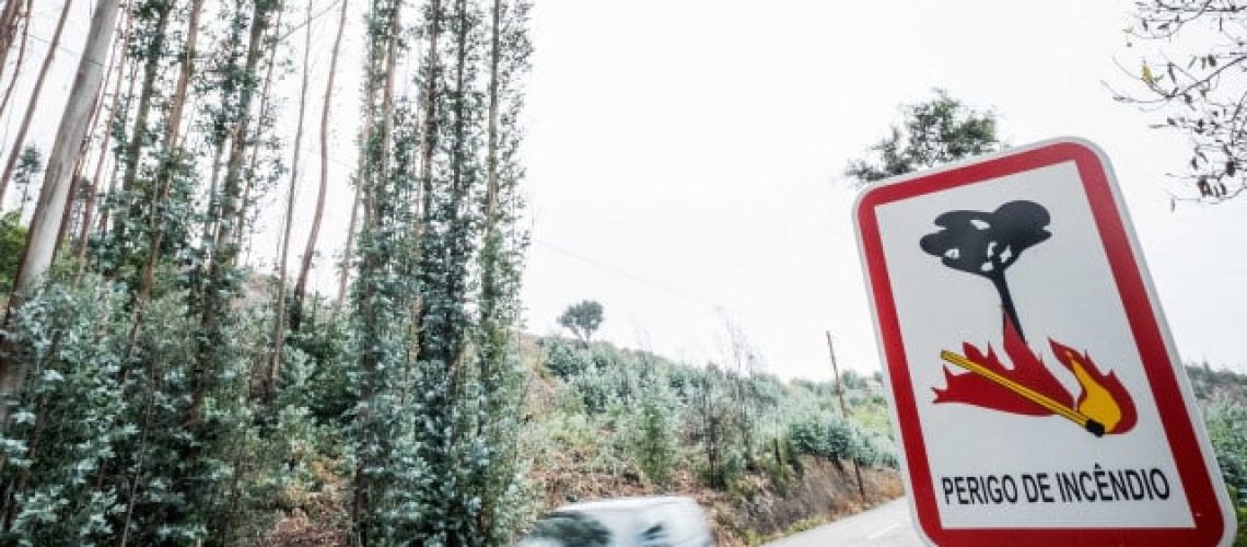 Provoque un incendie accidentellement lors du nettoyage des broussailles à Guarda.