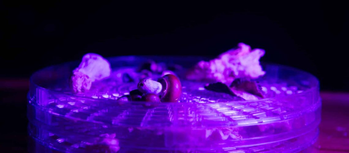 Quatre autres personnes arrêtées au Boom : elles avaient de la kétamine et des milliers d'euros.