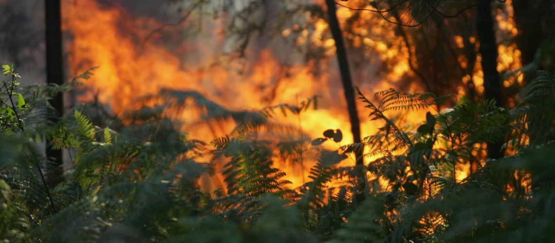 Quelles sont les interdictions pendant la situation d'alerte Que cela implique Percevez