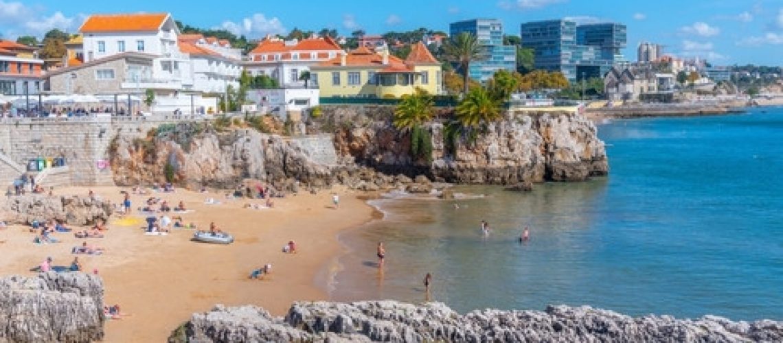 Sans enlèvement des algues invasives, Cascais pourrait déjà ne plus avoir de plages.
