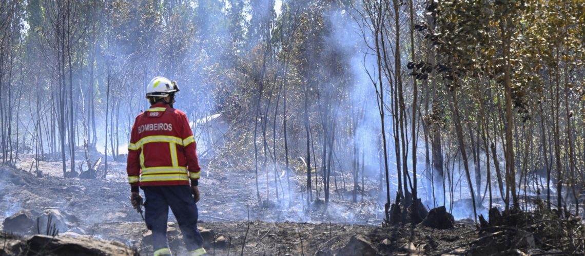 Sept moyens aériens et 135 agents combattent un incendie à Sabrosa.