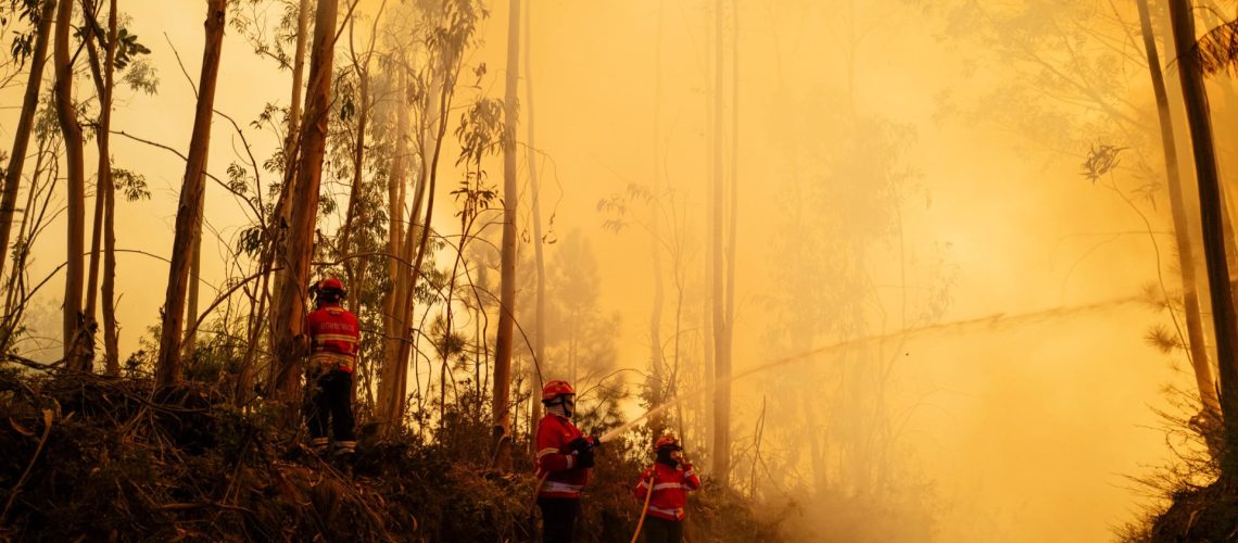 Sexagénaire arrêté pour suspicion d'avoir déclenché un incendie à Baião.