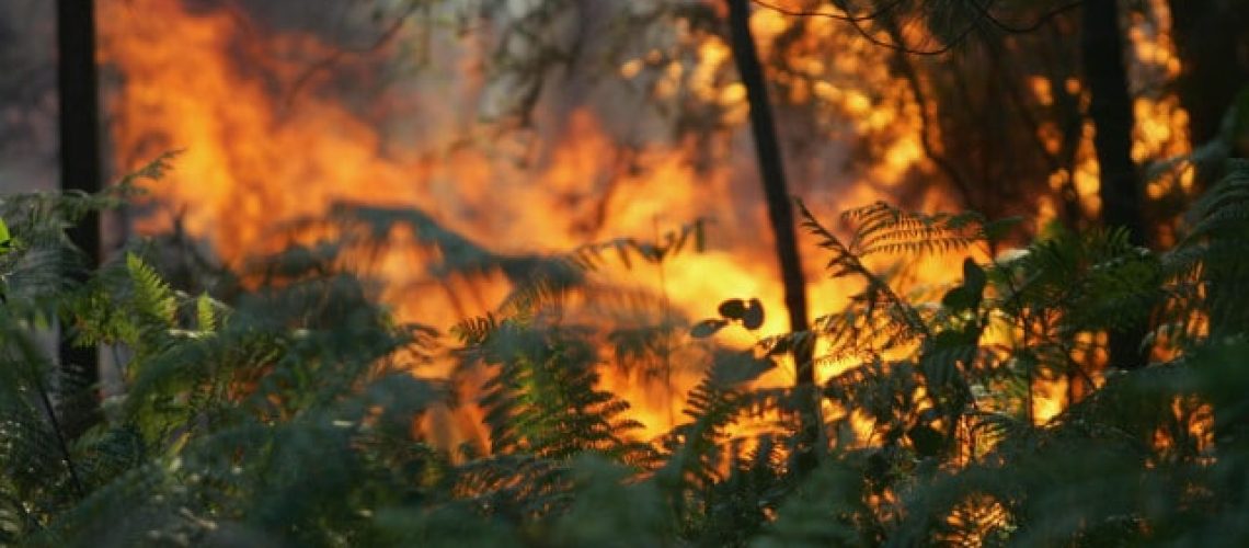 "Situation d'alerte" ferme des monuments à Sintra et le périmètre forestier