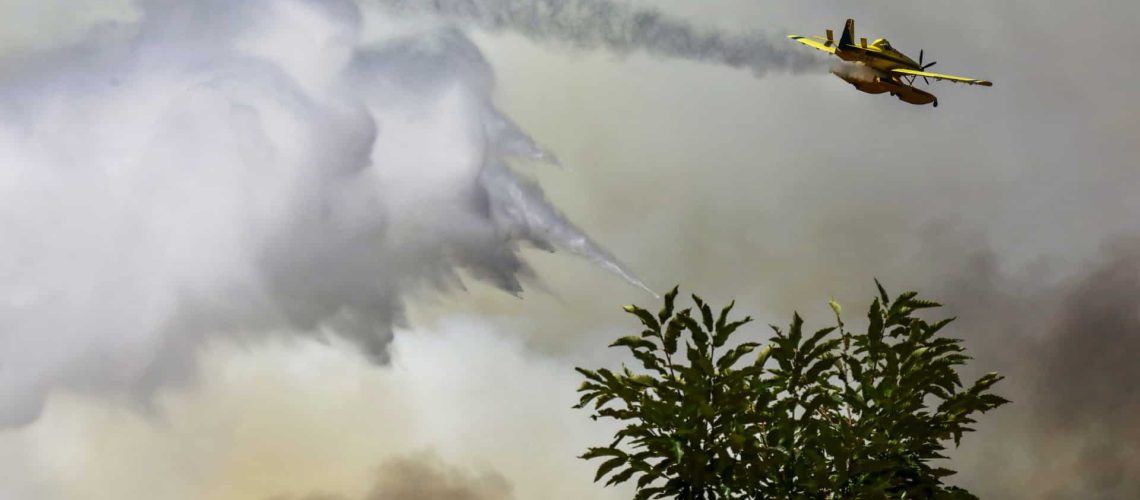 Six moyens aériens et plus de 300 opérationnels luttent contre les flammes à Covilhã.