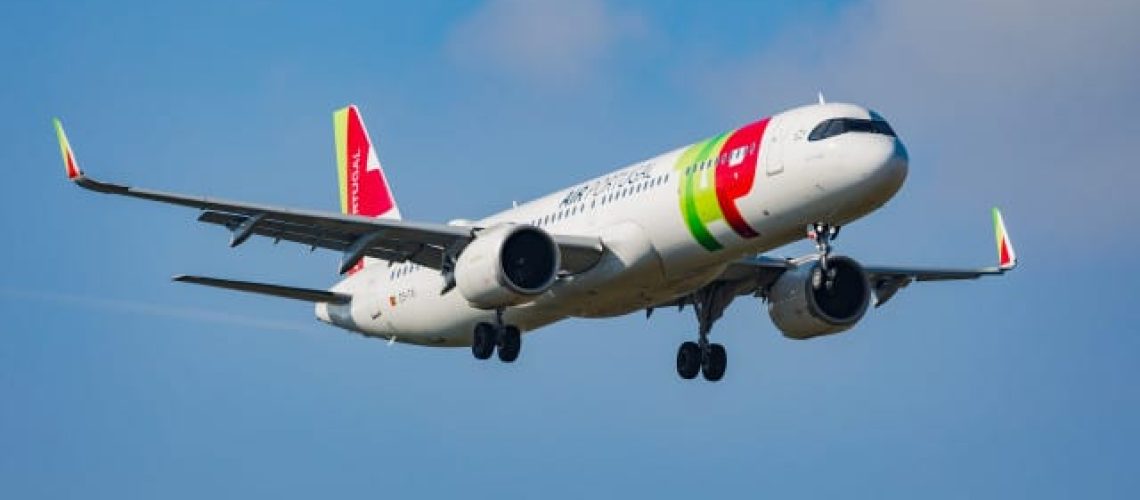 TAP accusée de négligence après qu'une chienne s'est échappée à l'aéroport de São Paulo.
