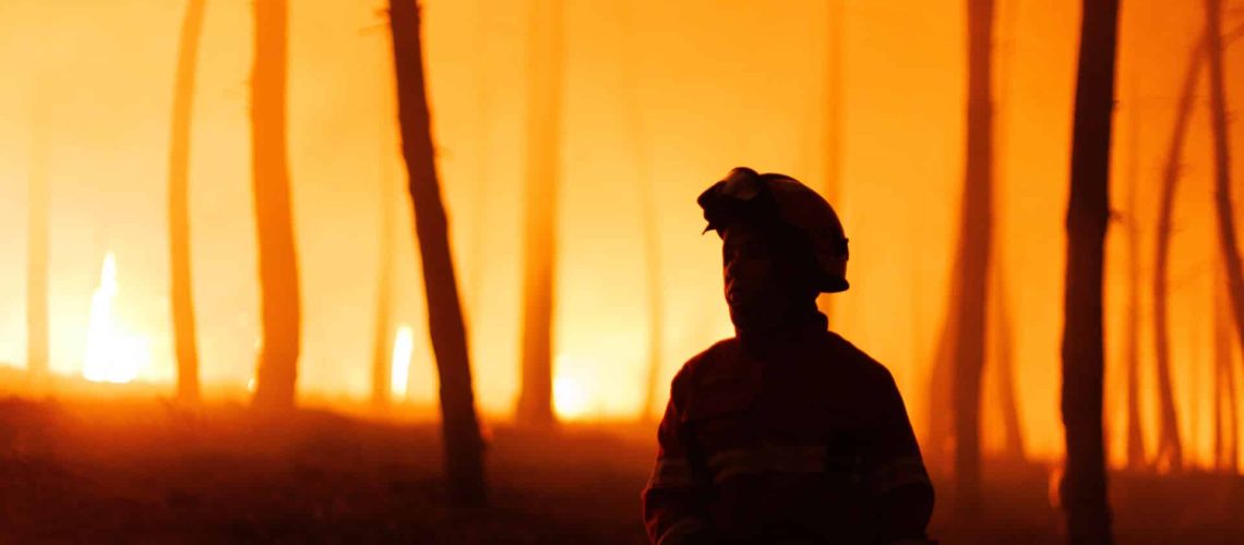 Viana do Castelo, Vila Real et Porto : 3 routes restreintes en raison des incendies